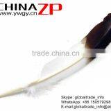 CHINAZP Wholesale Cheap Brown Half Dipped Bicolourable Turkey Feathers for Fashion Decorations thumbnail-2