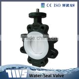 New China TWS-FD butterfly valve with ptfe coated for sale