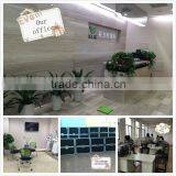 Fat Cavitation Machine RF Beauty Salon Equipment / Cavitation Machine / Slimming Machine 2mhz thumbnail-6