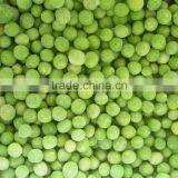 Frozen Peas Green Peas thumbnail-4