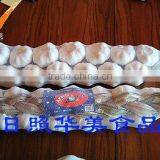 Fresh Garlic thumbnail-1