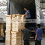 Wuhan Yimin Bee Product Co., Ltd. company overview - view 1 thumbnail