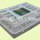 BC Series Plastic Poultry Chicken Folding Cage Plastic Chicken Transport Cage