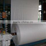 Manufacture pp Green Woven Fabric in Roll thumbnail-4