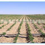 Garden Water Plastic Material Micro Spray Irrigation Drip Tape/ Hose