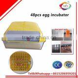 Thermostat Automatic Control 48pcs Chicken Egg Incubator