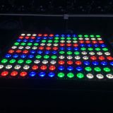 LED RGBW infinite color mixing possibility 96pcsx10w City Color Changing LED Light for outdoor