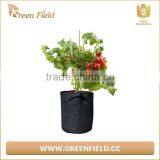 Greenhouse Plant Grow Bags for Plant Nursery thumbnail-1