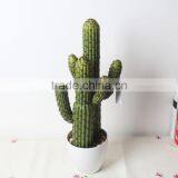 SJ1801212 Artificial Small Succulent Bonsai Plant/mini Cheap Plastic Plant thumbnail-6