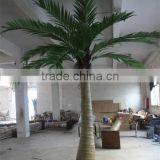 SJ2001116 High Quality Cocount Tree Factory Outlet thumbnail-3