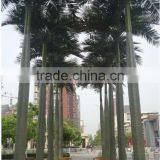 2017 Best Price Artificial Outdoor Palm Tree Plastic Palm Tree thumbnail-4