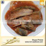 New Processing Halal Chinese Canned Mackerel Fish in Tomato Sauce thumbnail-4