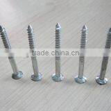 Flat Head Zinc-coat Galvanized Wood Screw,fastener Series thumbnail-1