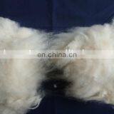 Carded and Dehaired Cashmere Fiber for India Market thumbnail-4