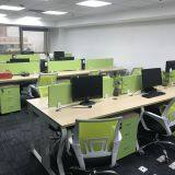 Angel Era Co.,Ltd company overview - view 2 thumbnail