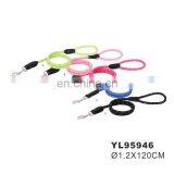 Nylon Leash & Slip Collar thumbnail-4