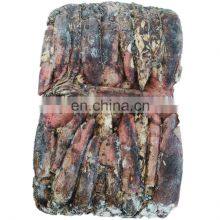 Frozen Black Squid Indian Ocean Squid Indian Squid Factory Direct Sale thumbnail-1