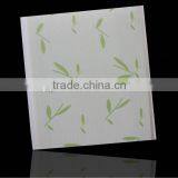 Haining China New Design Printing PVC Wall Panel for Shower and Wall