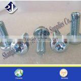 T40 Torx Screw