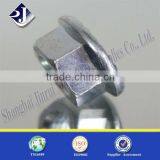 Online Selling Flange Nut
