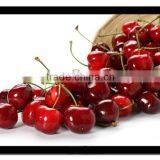 Frame Projection Screen/ Front Projector Screen