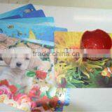 3D Lenticular Table Mat, 3D Table Mat, 3D Promotional Table Mat