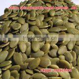 Shine Skin Pumkin Seed Kernels thumbnail-1