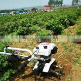 Weed Cutting Machine Power Weeder Farm Machine Cultivator Weeder Tractor for Watermelon