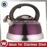 Stainless Steel Whistling Kettle With Coating thumbnail-1