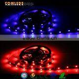 Best Design 12v Rgb Led Strip Light China Supplier thumbnail-3