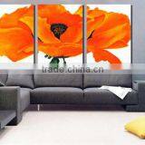 Full Color Custom Printed Canvas