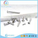 China Supplier 304 Stainless Steel Flat Head Cross Recessed Tapping Screw thumbnail-4