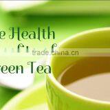 Green Tea SP2 ( Super Pekoe 2 ) is Famous Organic Tea From Tea Paris Viet Nam thumbnail-4