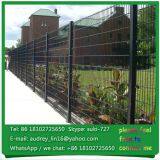 8*2+6mm, 6*2+5mm Powder Coated Green Double Wire Mesh Fence thumbnail-3