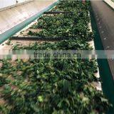 China Import Direct Spinach Extract Latest Products in Market thumbnail-5