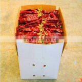 Sweet Chili Pod thumbnail-1