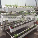 Vertical hydroponic system food grade