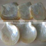 Wholesale Polished White Yellow Mother of Pearl Raw Shells thumbnail-2