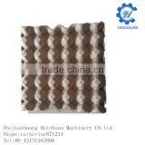 30 Eggs Paper Egg Poultry Carton thumbnail-1