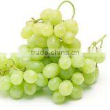 Grape Multiple Layer Continuous Type Mesh Belt Dryer thumbnail-6