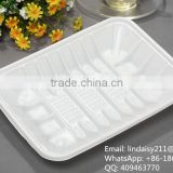 White rectangle disposable plastic food/fruit frozen packing tray