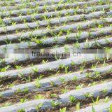 Biodegradable Plastic Packing Films Agricultural Film thumbnail-2