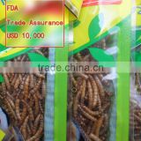 Organic Ornamental Fish Food,Dried Mealworms Fish Feed