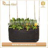 200 Gallon Felt Fabric Vegatable Plant Grow Bag thumbnail-2