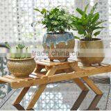 Eco-friendly Top Grade Display Racks Flower for Sale thumbnail-1