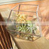 Simple Clear Glass Planter Terrarium thumbnail-1