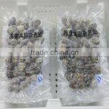 Vacuum Packed Short Necked Clam Size 51-60 thumbnail-3