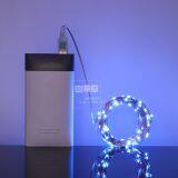 USB 5 Meter 50 Lights 10 Meter 100 Lights Colorful Munti Color Choosing Customized Copper String Fairy Firefly Light thumbnail-2