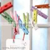 Mini Color Clothespins Wood Pegs Assorted Wood Clothespins for Whosales thumbnail-2