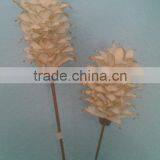 Mocha Sola Handmade Deco Bunches thumbnail-1